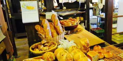 Levian, Shinshu Ueda