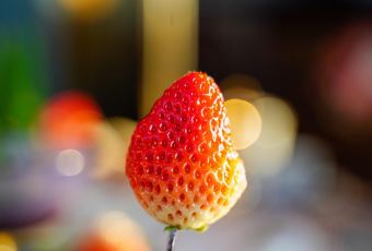 LINK WESTERN RESTAURANT User Photo