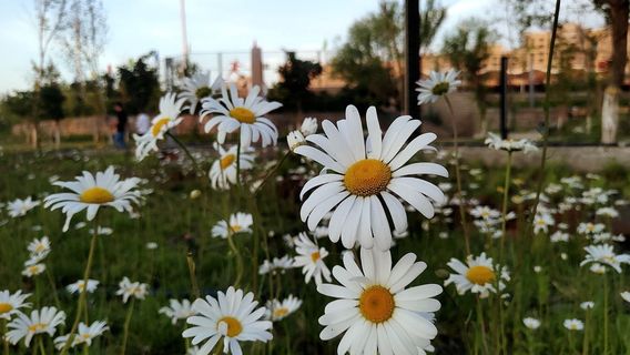 Yengisar Cultural Center