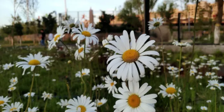 英吉沙縣文化館