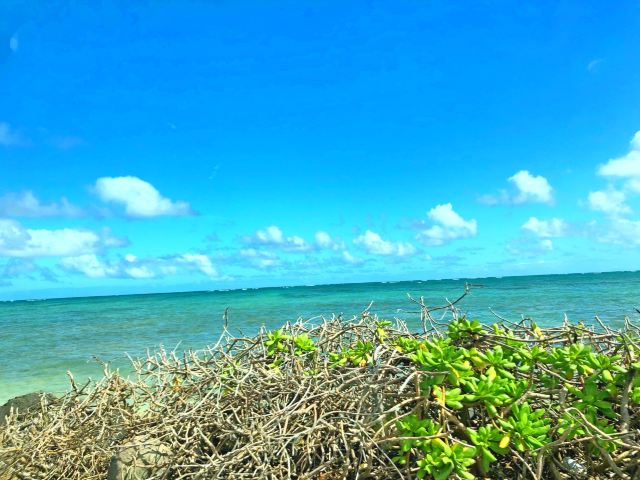 Honolulu