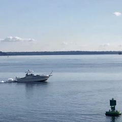 サンフランシスコ ファラロン諸島 評判 案内 トリップドットコム サンフランシスコ ファラロン諸島 評判 案内 トリップドットコム