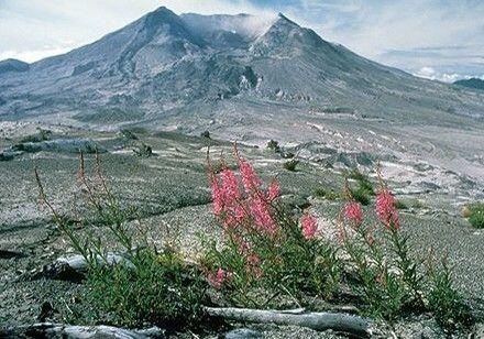 这顿火山也是深受探险者喜欢的一个地方，圣海伦火山非常的巨大的