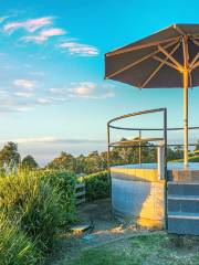 Mount Coot-Tha Summit Lookout