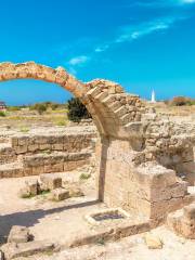 Paphos Archaeological Park