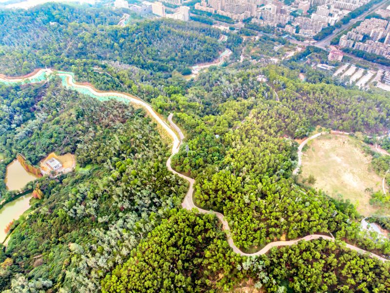 Longcheng Park