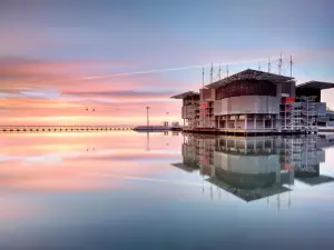 Oceanário di Lisbona