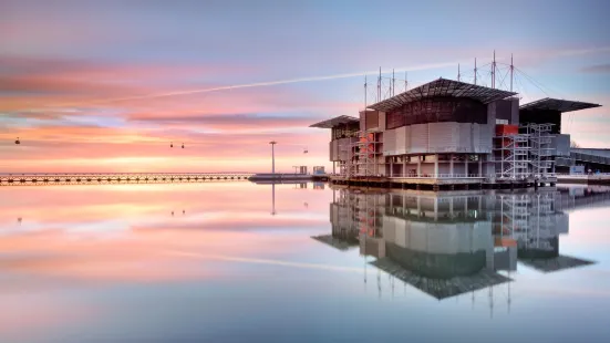 Lisbon Oceanarium