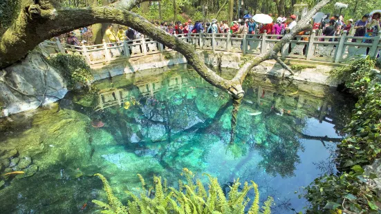 大理胡蝶泉公園