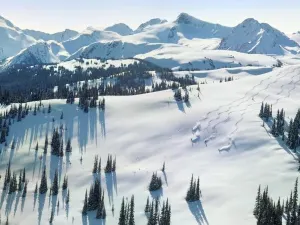Whistler Mountain