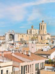 Catedral Basílica Metropolitana y Primada de Santa Tecla de Tarragona