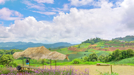 Mae Rim