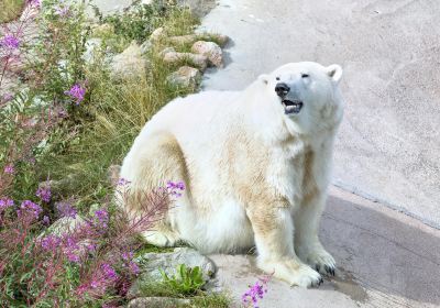 拉努阿野生動物園