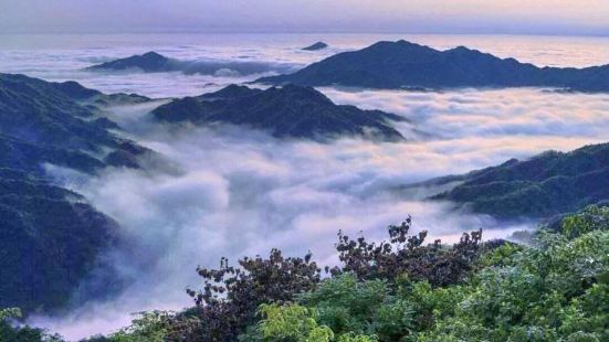 漢中雲霧山位於陝西漢中勉縣東北部，秦嶺南坡，海拔近2000米