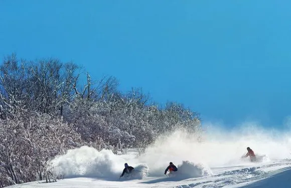 Yuzawa Maiko湯澤舞子滑雪場滑雪纜車券青少年