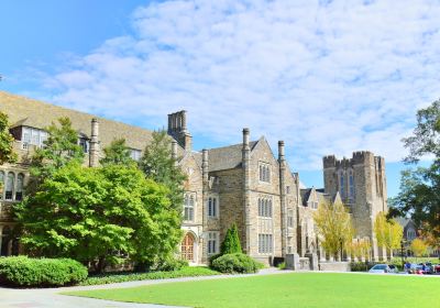 デューク大学