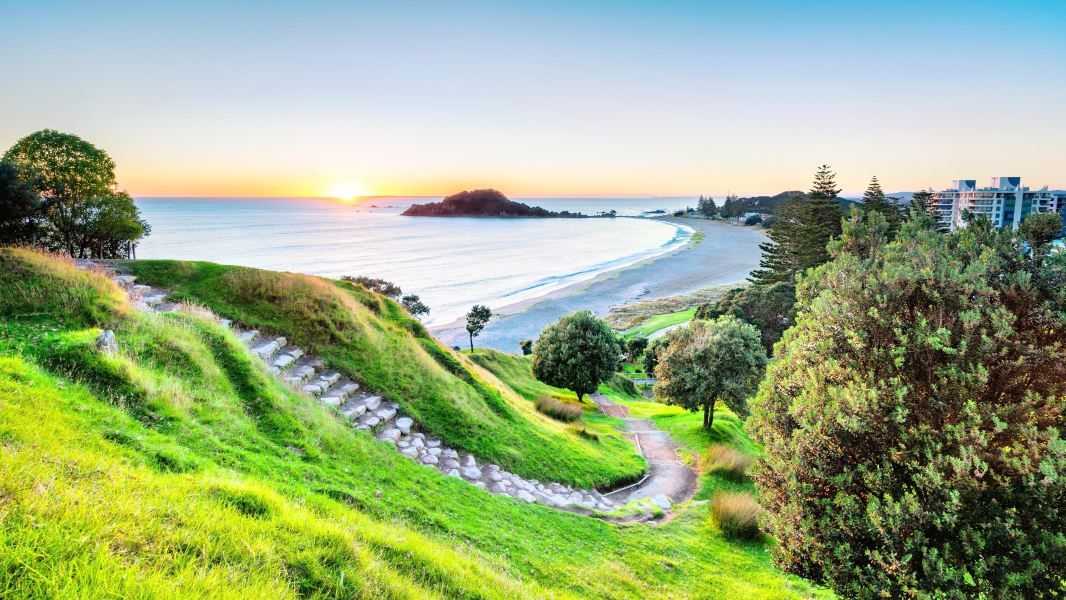 Harare to Tauranga Flights
