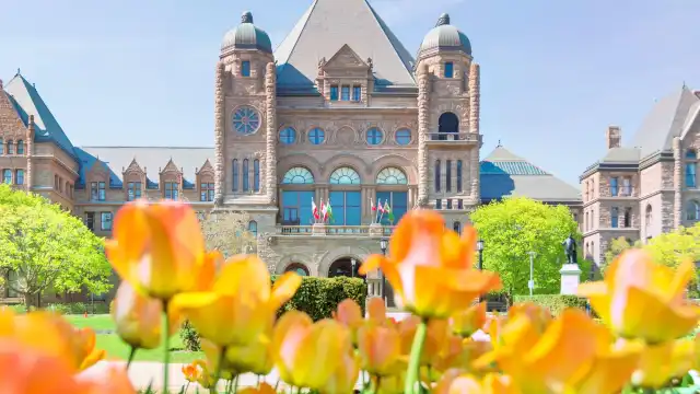 鄰近皇后公園的酒店