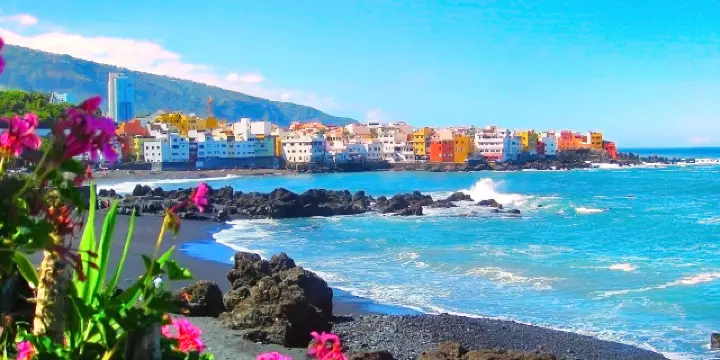 MARIA BLACK Secret Garden Hairpin 50 Creative Ways to Style Hair