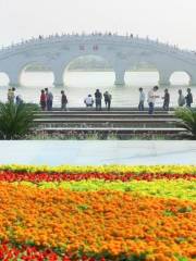 Kunming Pool