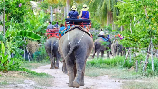 Villaggio degli Elefanti di Pattaya