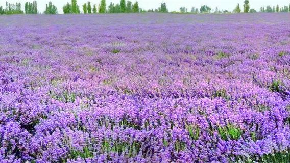 Dalaxiangu Sceneic Area