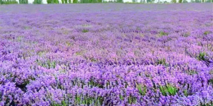 哒啦仙谷旅游景区