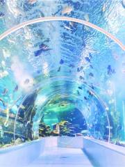 Linyi Ocean World Theme Park