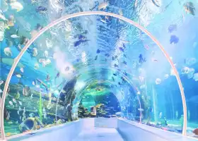 Linyi Ocean World Theme Park