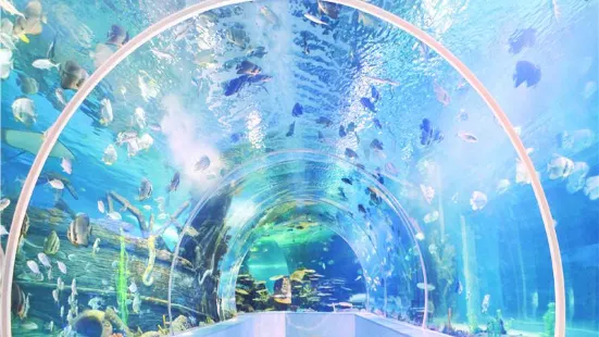 Linyi Ocean World Theme Park