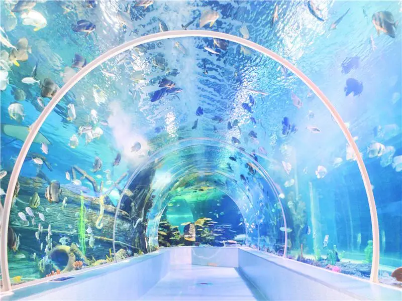 Linyi Ocean World Theme Park