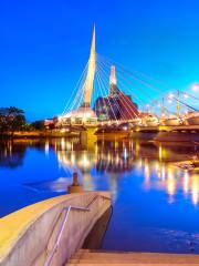 The Forks Market