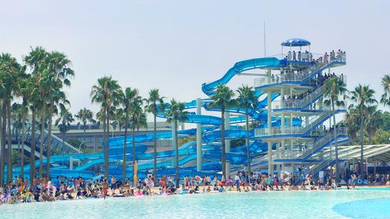 Jumbo Seawater Park