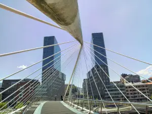 Puente Zubizuri