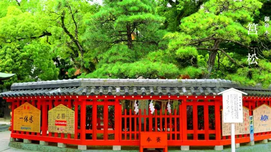 Hakozaki Shrine