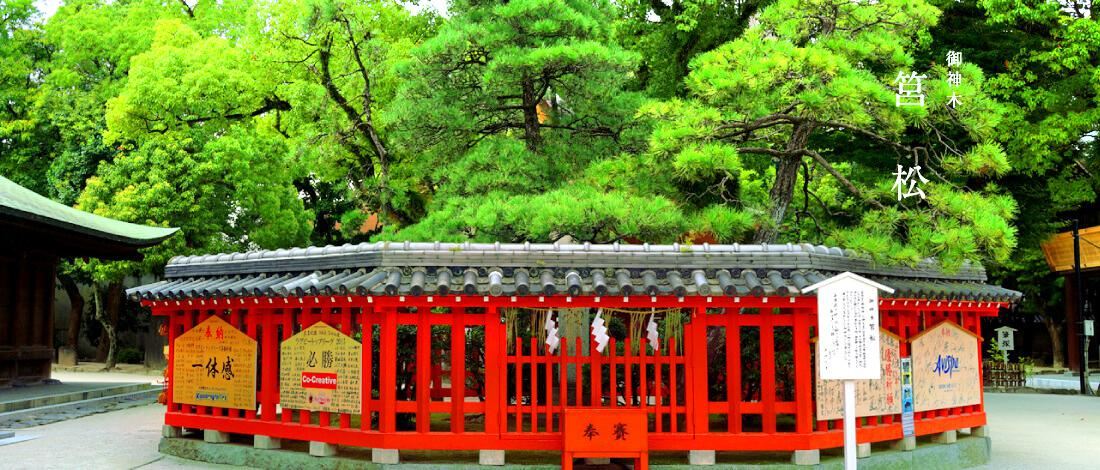 Hakozakigu Shrine