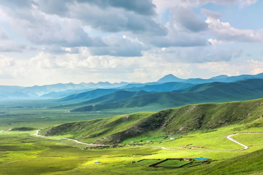 阿万倉湿地