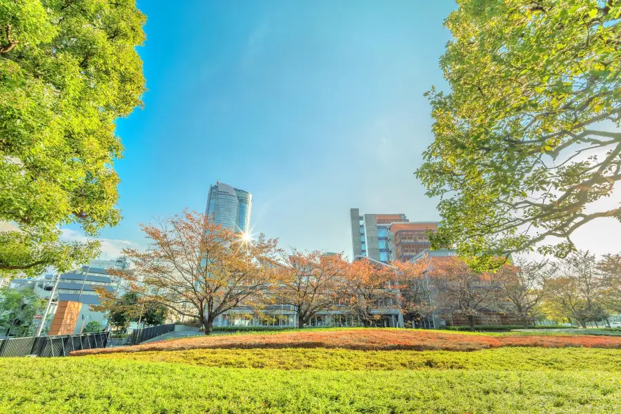 東京國立近代美術館國際電影中心