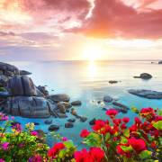 Природа / дикая природа