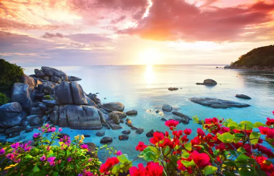 蘇梅島蘇梅島 - 濤島 - 帕岸島 船票成人