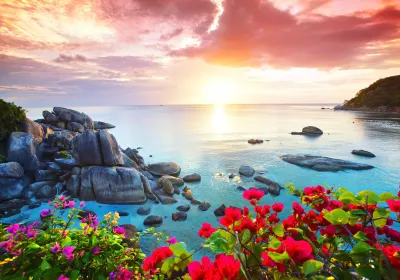 Samui Island