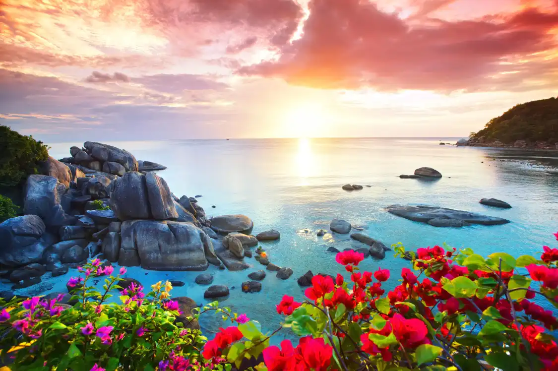 Hotels near Samui Island