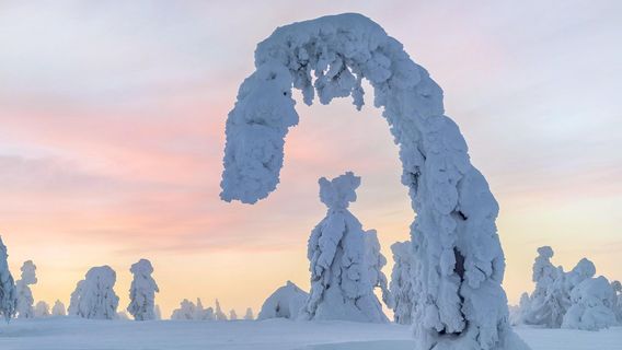 Sodankylä
