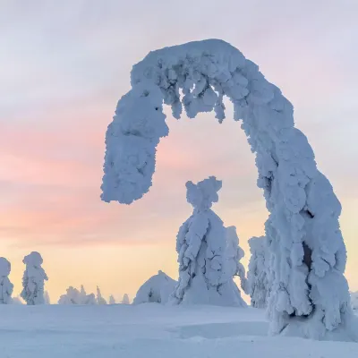 Lapland Hotels SnowVillage