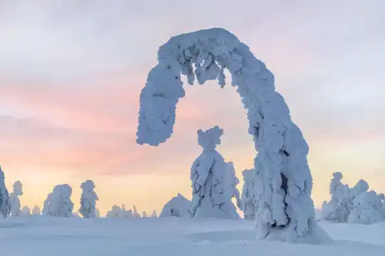 鄰近洛斯託的酒店