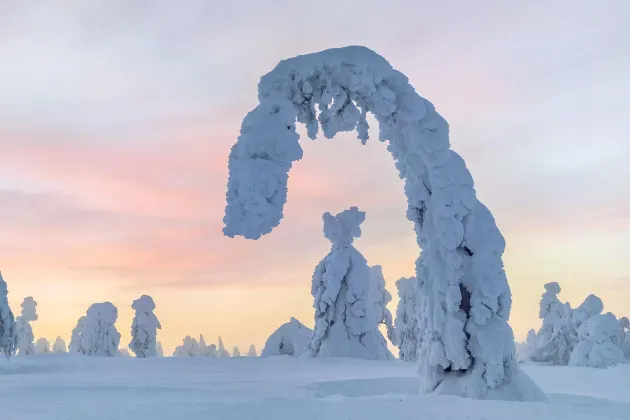 Lufthansa Flights to Jyvaskyla