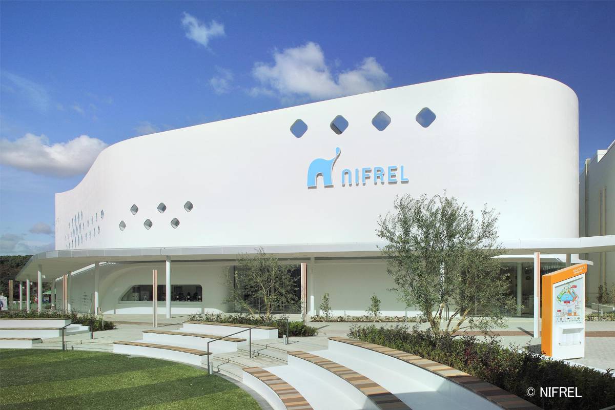 水生美世界NIFREL