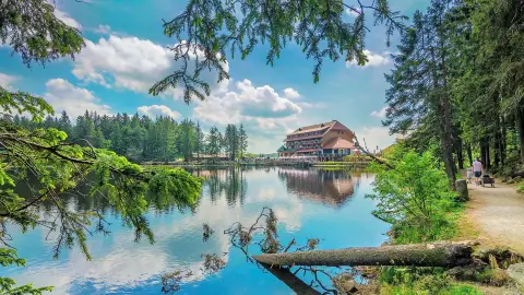 Sasbachwalden Travel Guide 2026: Top Attractions, Things to Do & Deals |  Trip.com | June 2026