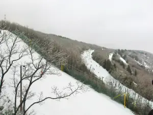 駝峯山滑雪場