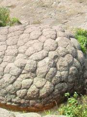 God Turtle Stone